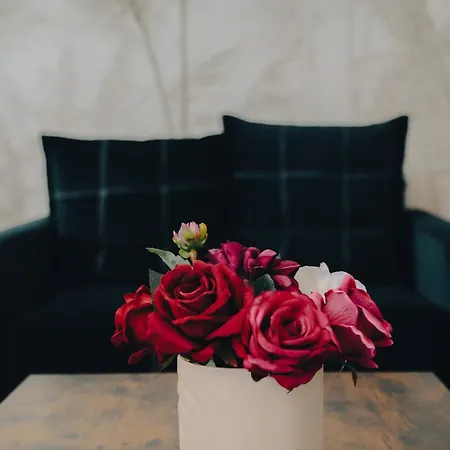 Excelsior Central-steps From Metro *